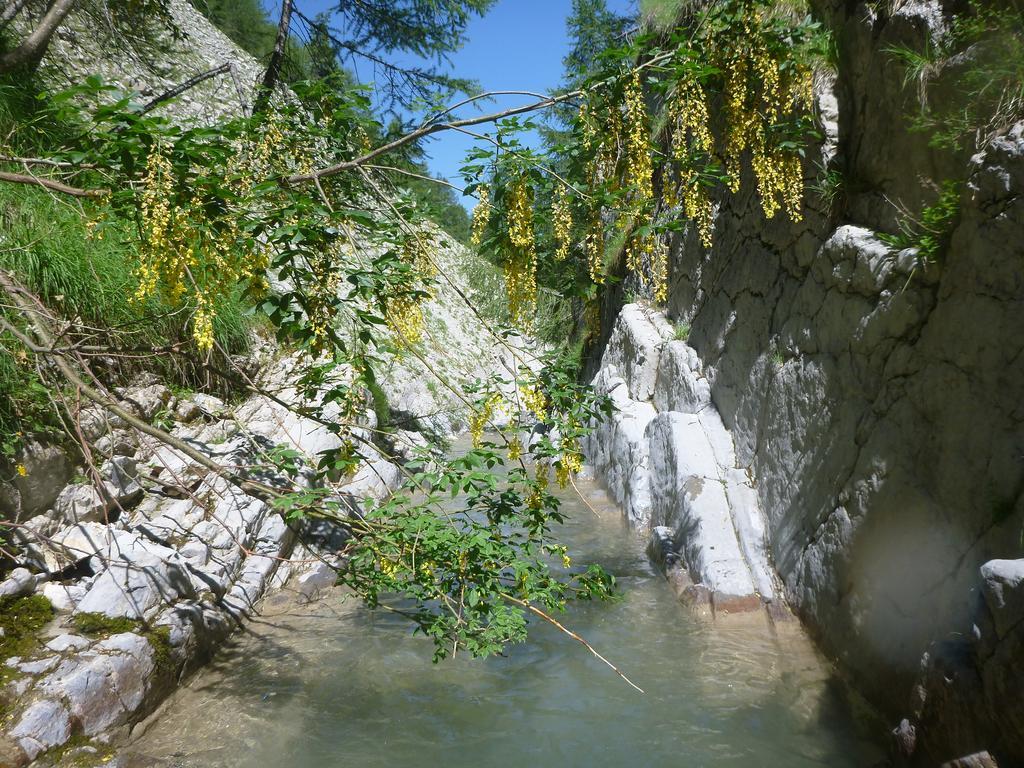 Gite Belle Valette Prads-Haute-Bleone Экстерьер фото